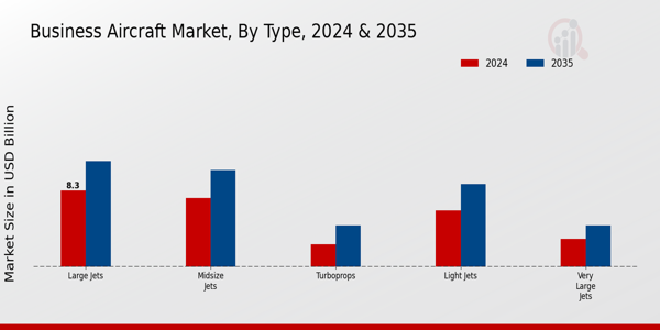 Business Aircraft Market Type Insights