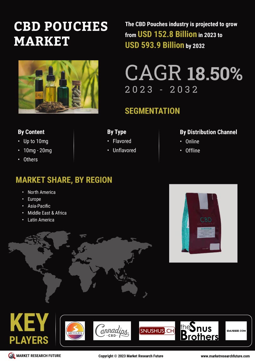 CBD Pouches Market