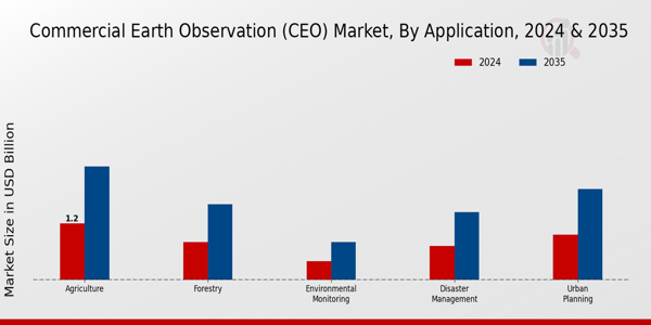 Commercial Earth Observation (CEO) Market Application Insights