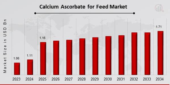 Calcium Ascorbate for Feed Market Overview