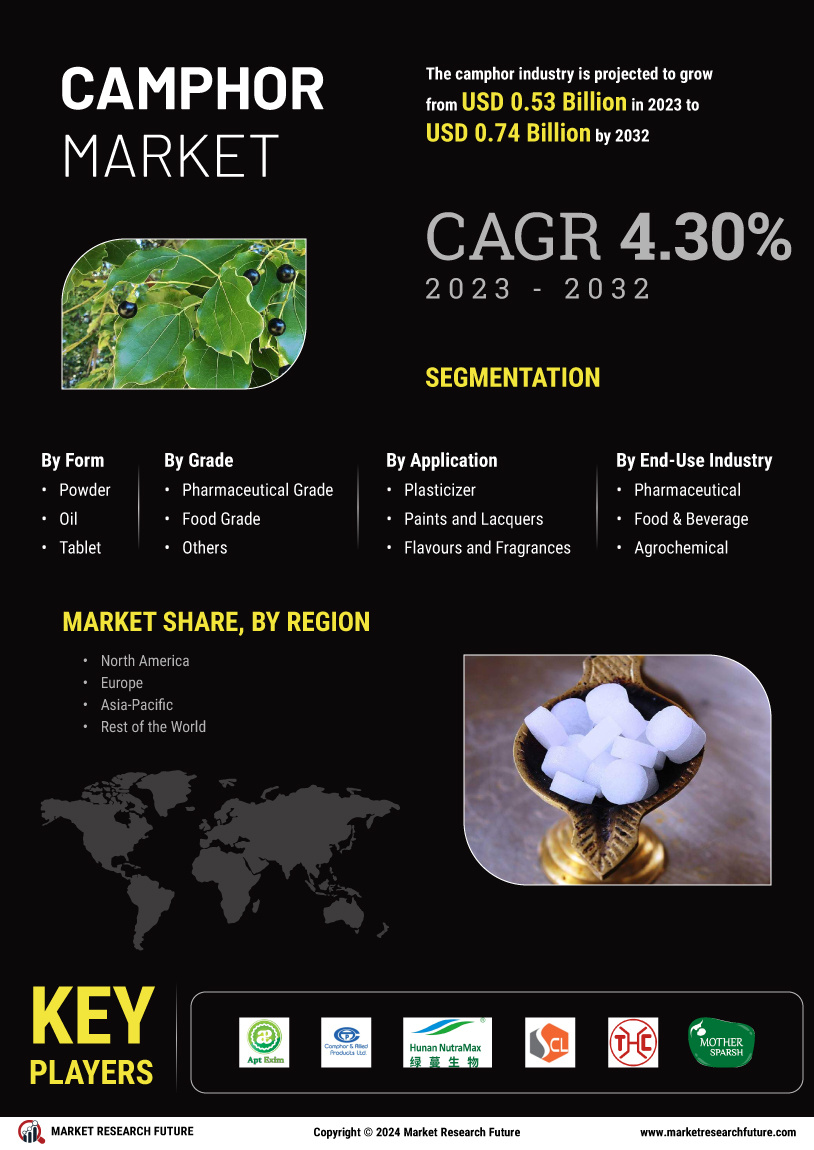 Camphor Market Research Report - Global Forecast y 2034 Infographic