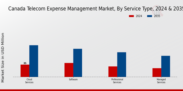 Telecom Expense Management Market Service Type Insights
