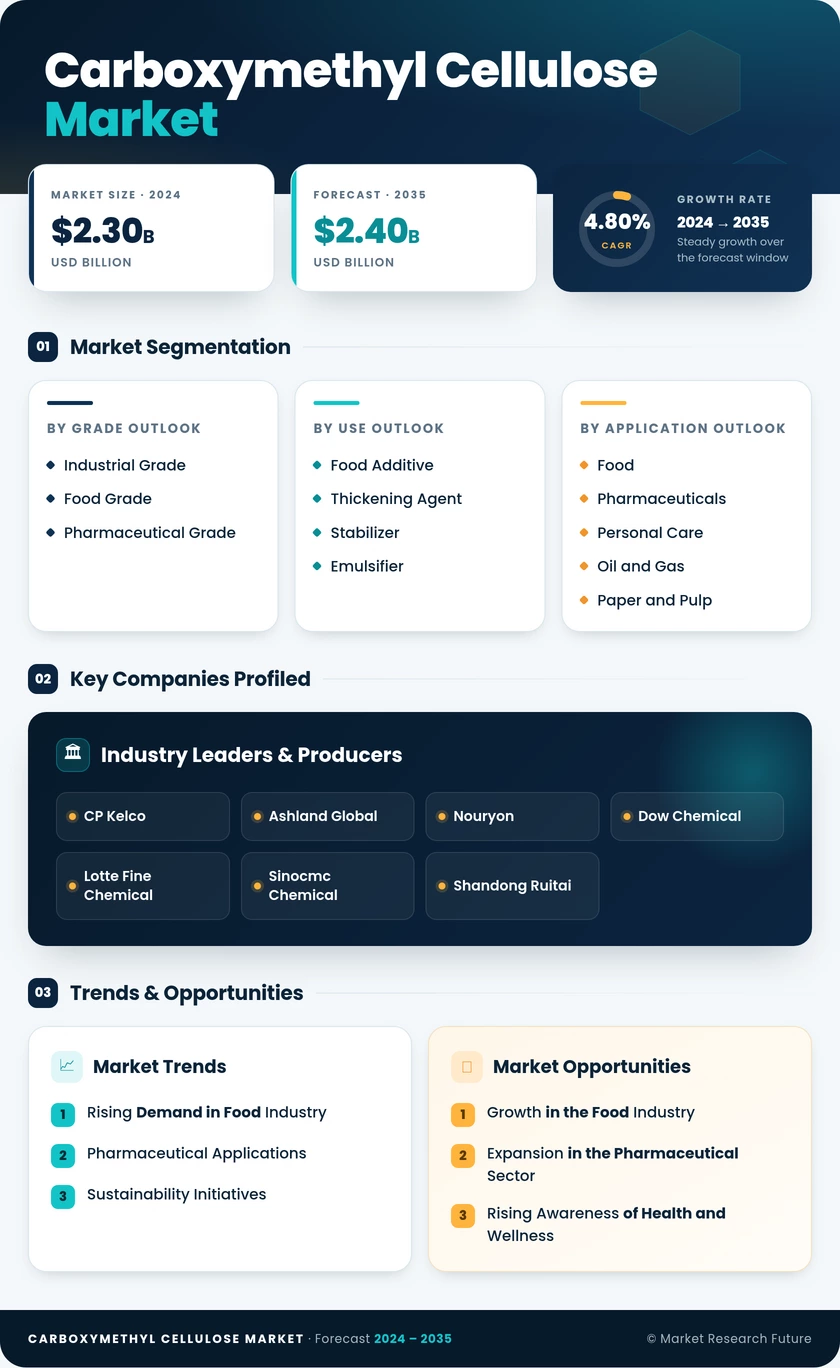 Carboxymethyl Cellulose Market Research Report - Forecast till 2035 Infographic