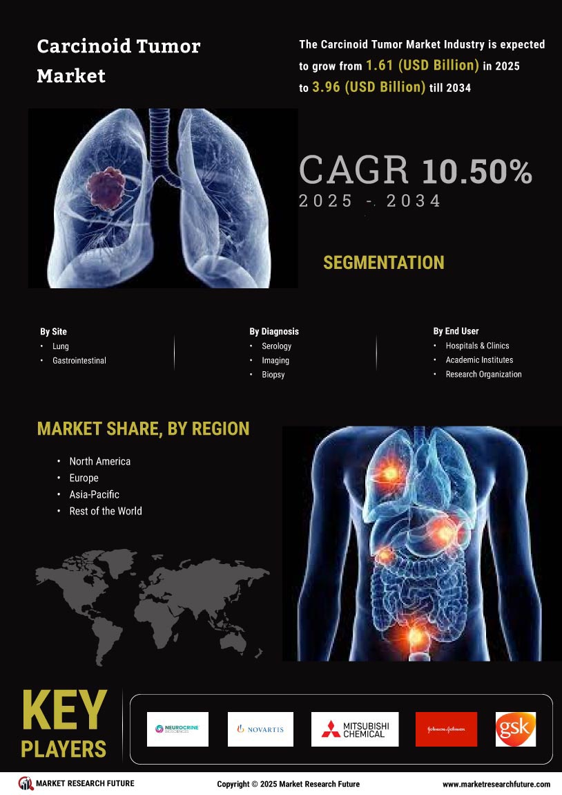 Carcinoid Tumor Market Research Report – Global Forecast till 2034 Infographic