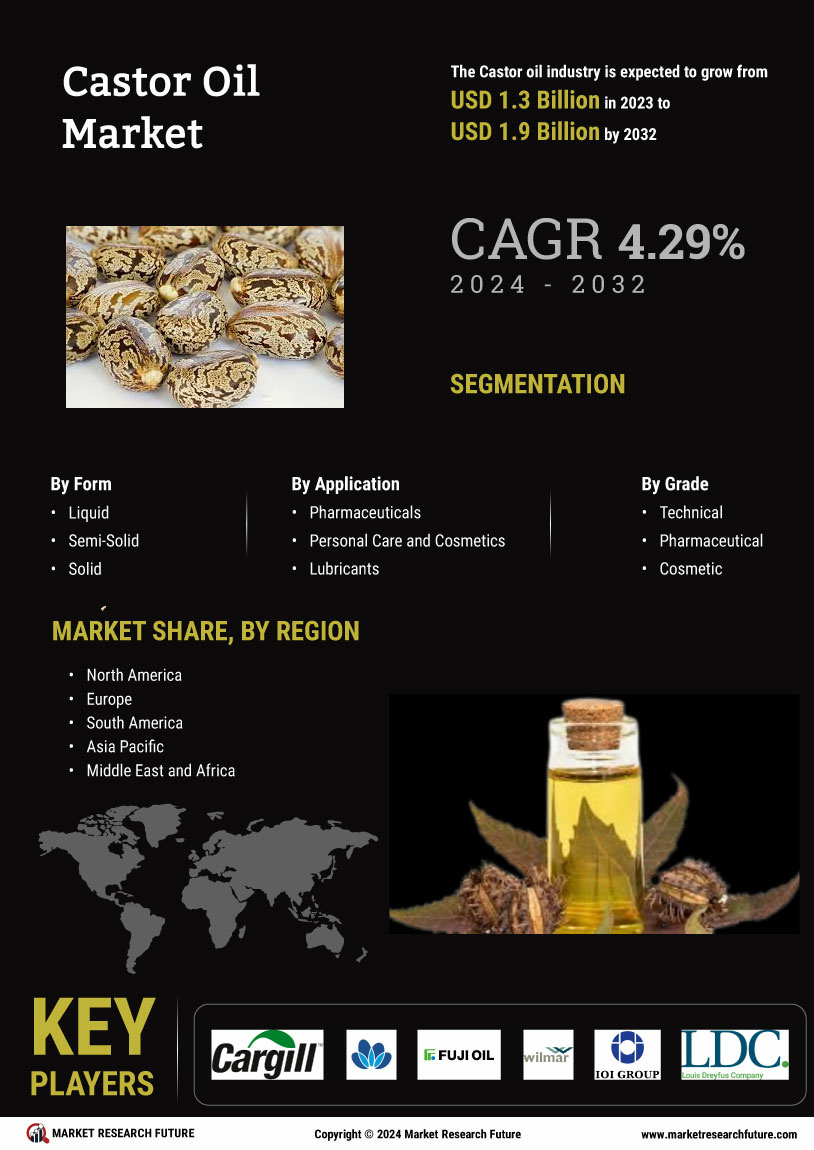 Castor Oil Market Research Report — Global Forecast till 2034 Infographic