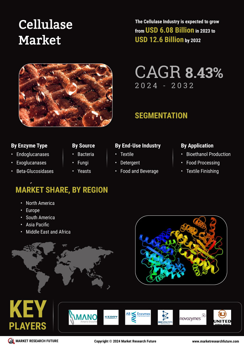 Cellulase Market