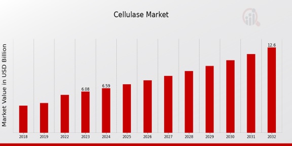 Cellulase Market Overview