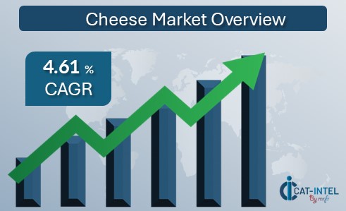 Cheese Market Overview