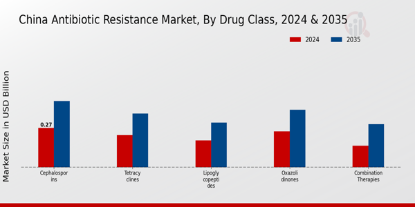 China Antibiotic Resistance Market Segment