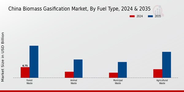 China Biomass Gasification Market Segment
