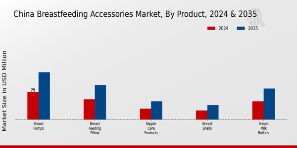 China Breast Feeding Accessories Market Segment