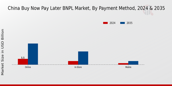 China Buy Now Pay Later (BNPL) Market Segment