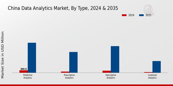 China Data Analytics Market Segment
