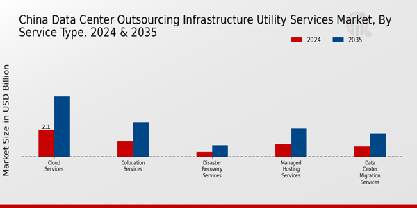 China Data Center Outsourcing Infrastructure Utility Services Market Segment