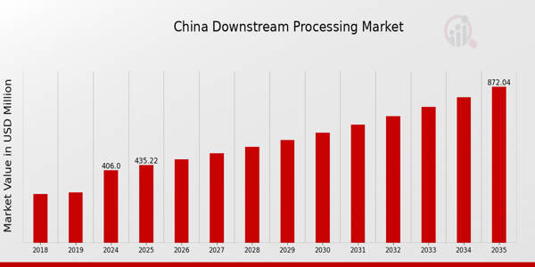 China Downstream Processing Market size
