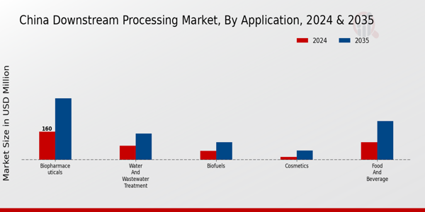 China Downstream Processing Market Segment