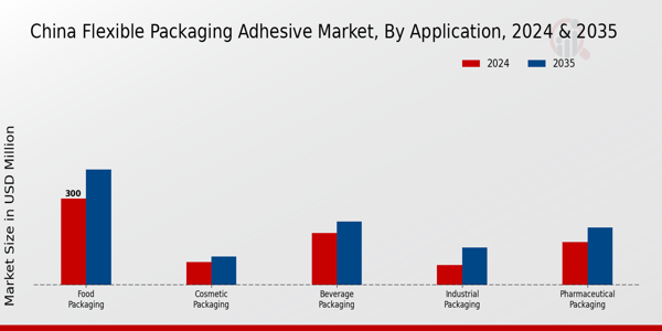 China Flexible Packaging Adhesive Market Segment