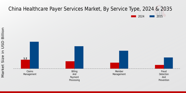 China Healthcare Payer Services Market Segment