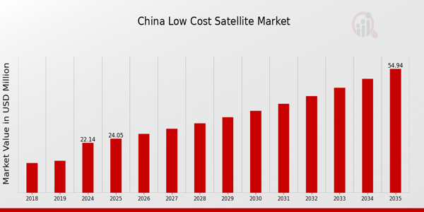 China Low Cost Satellite Market size
