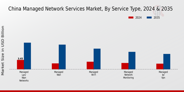 China Managed Network Services Market Segment