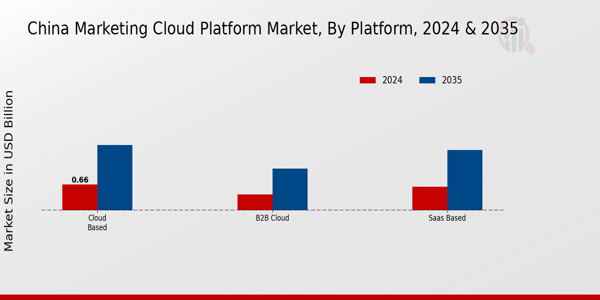 China Marketing Cloud Platform Market Segment