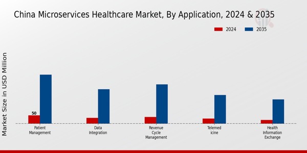 China Microservices Healthcare Market Segment