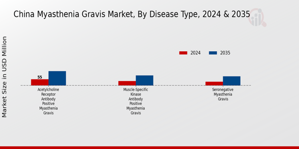China Myasthenia Gravis Market Segment