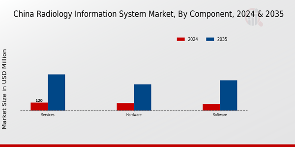 China Radiology Information System Market Segment