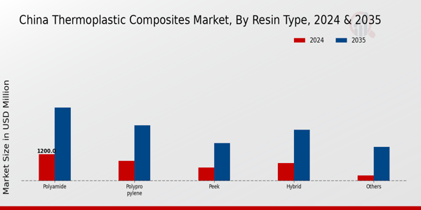 China Thermoplastic Composites Market Segment