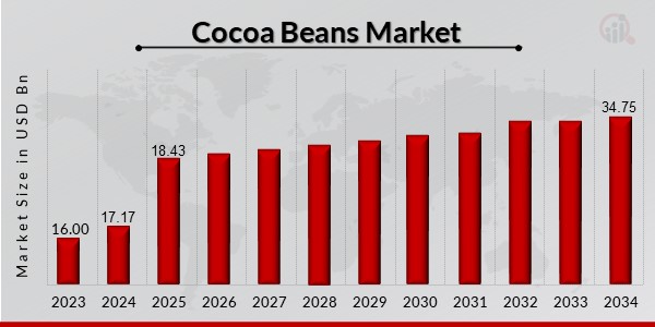 Cocoa Beans Market Overview