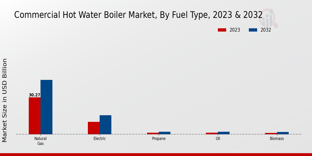 Commercial Hot Water Boiler Market Fuel Type Insights  