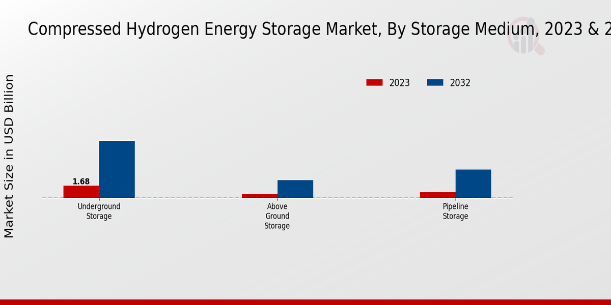 Compressed Hydrogen Energy Storage Market Storage Medium Insights