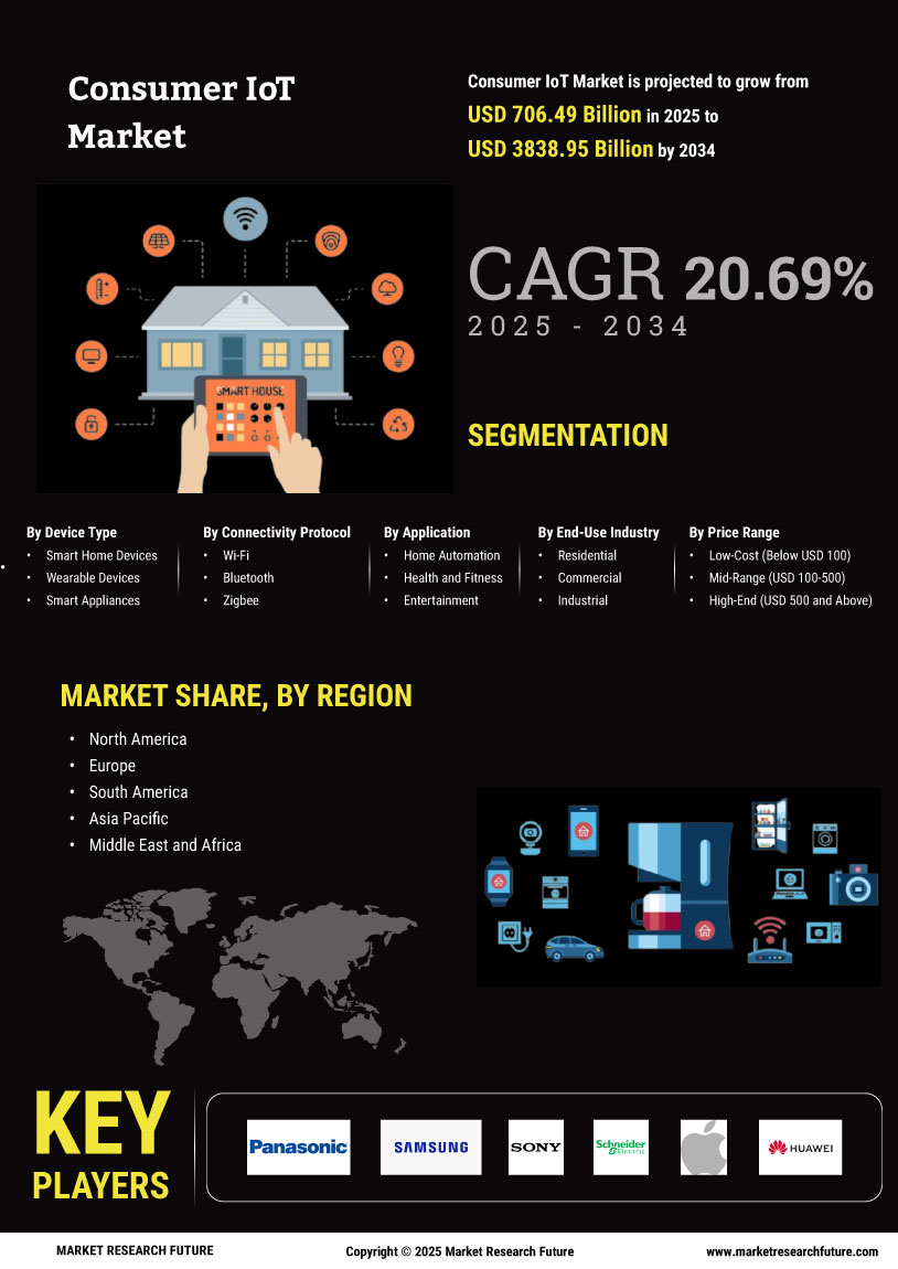 Consumer IoT Market 