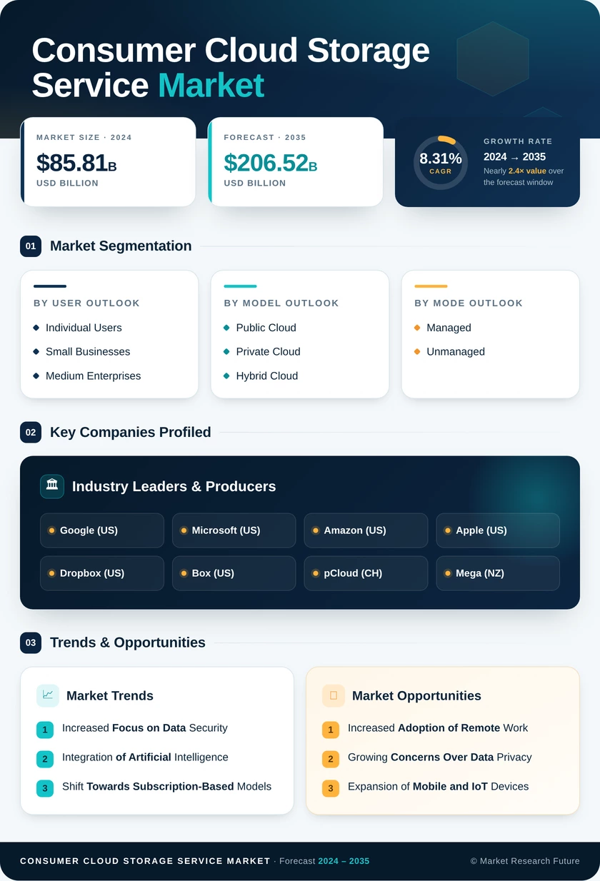 Consumer Cloud Storage Service Market Research Report - Global Forecast till 2035 Infographic