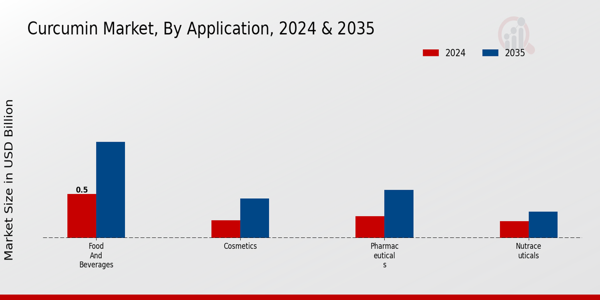 Curcumin Market Application Insights