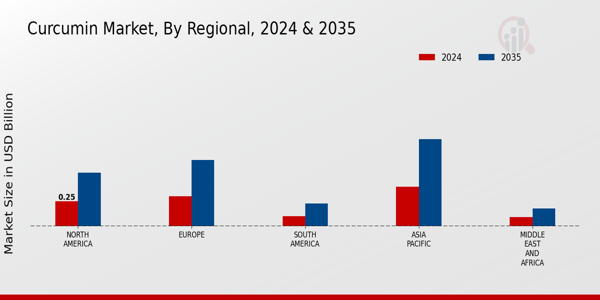 Curcumin Market Regional Insights