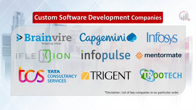 Custom Software Development Companies