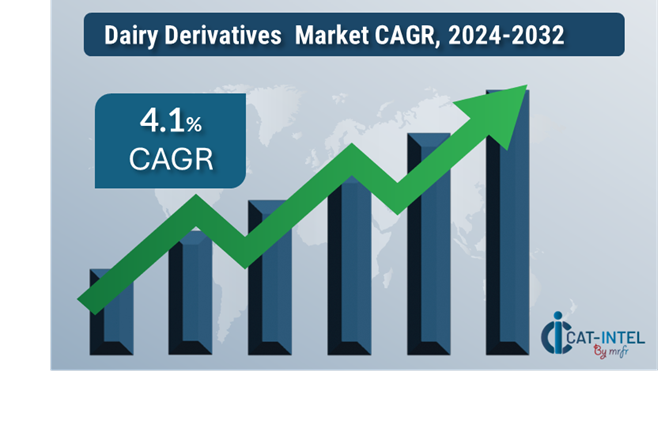 Dairy Derivatives Market Overview