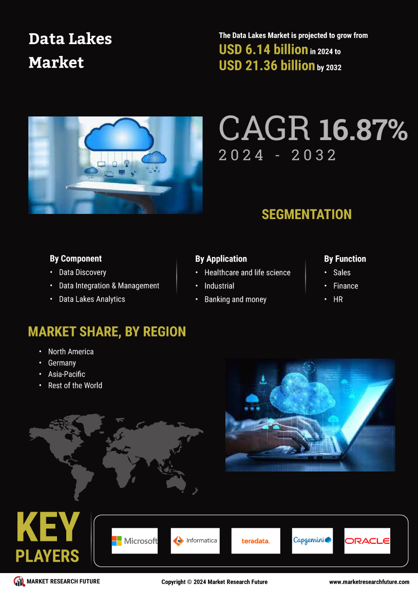 Data Lakes Market