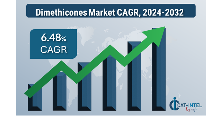 Dimethicones Market Overview