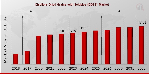 Distillers Dried Grains with Solubles (DDGS) Market Overview