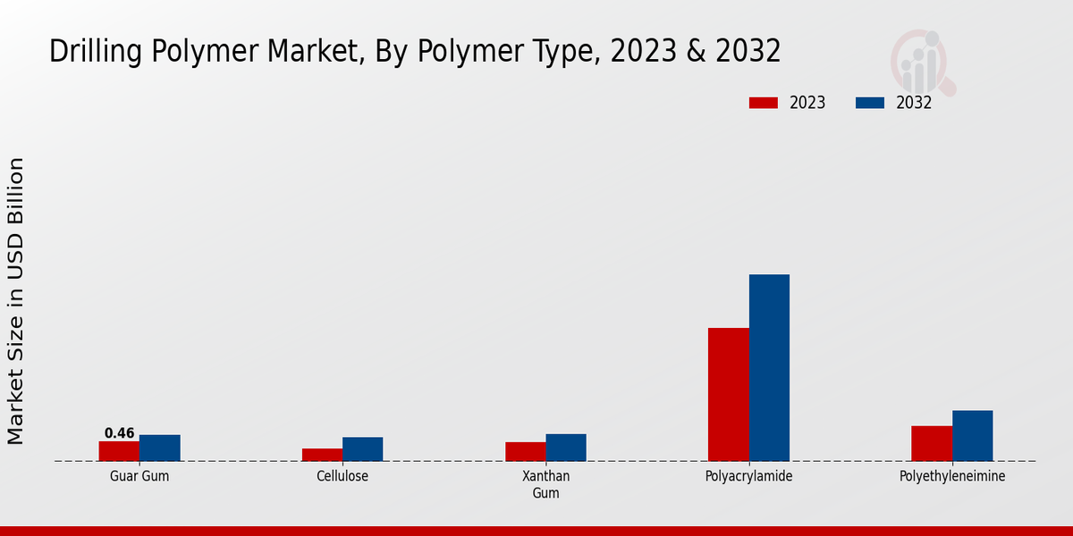 Drilling Polymer Market Polymer Type