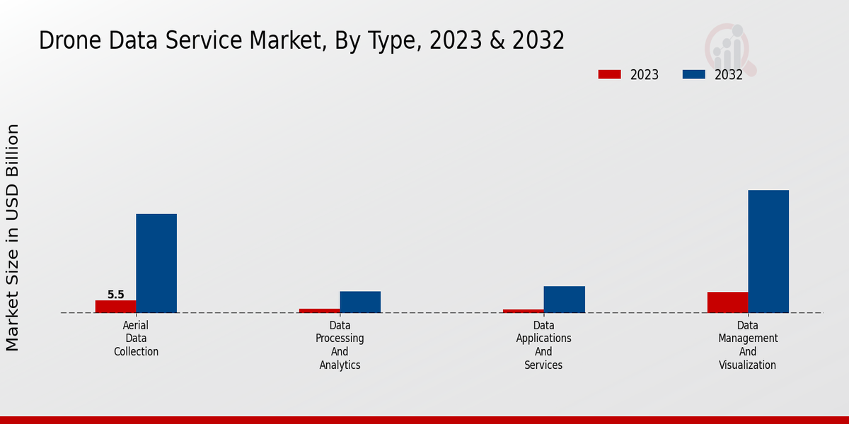 Drone Data Service Market  type insights