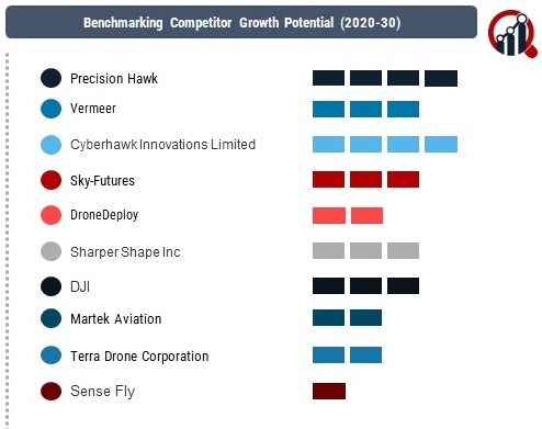 Drone Service Market 