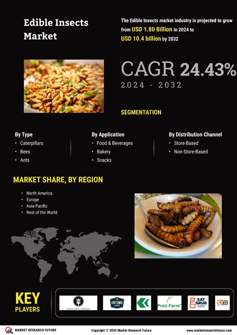 Edible Insects Market