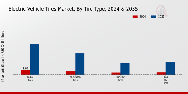 Electric Vehicle Tires Market by Type