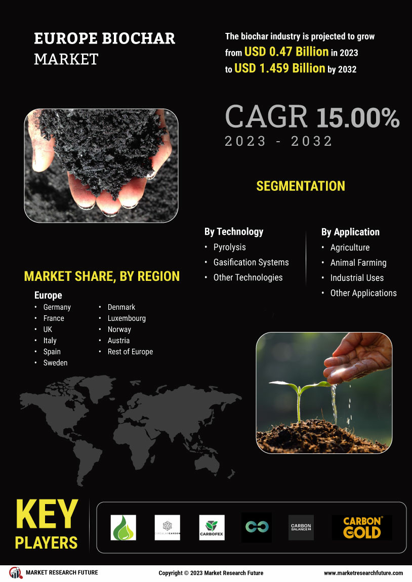 Europe Biochar Market Research Report—Forecast till 2034 Infographic