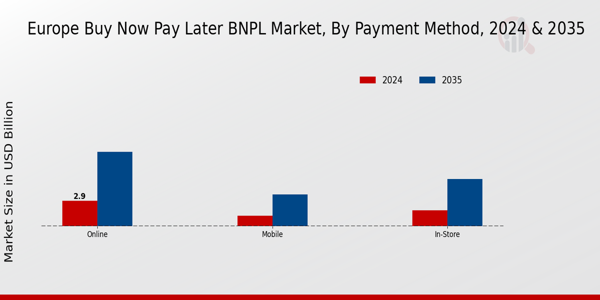 Europe Buy Now Pay Later (BNPL) Market Segment
