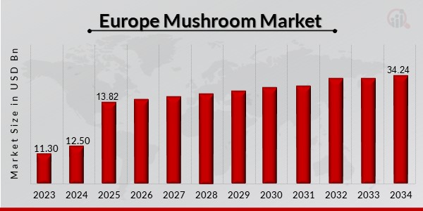 Europe Mushroom Market Overview