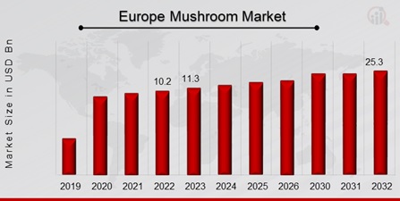 Europe Mushroom Market Overview